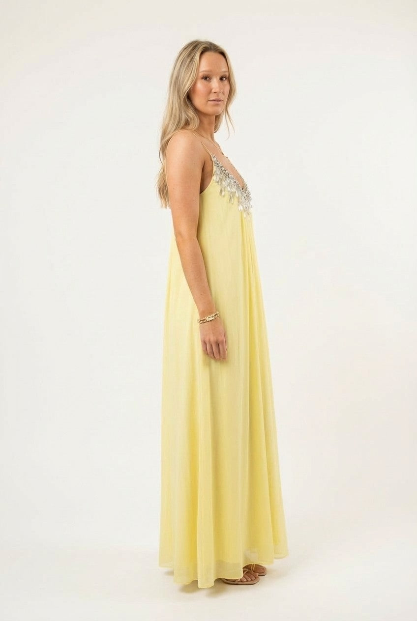 Aurielle Embellished Pleated Chiffon Maxi Dress