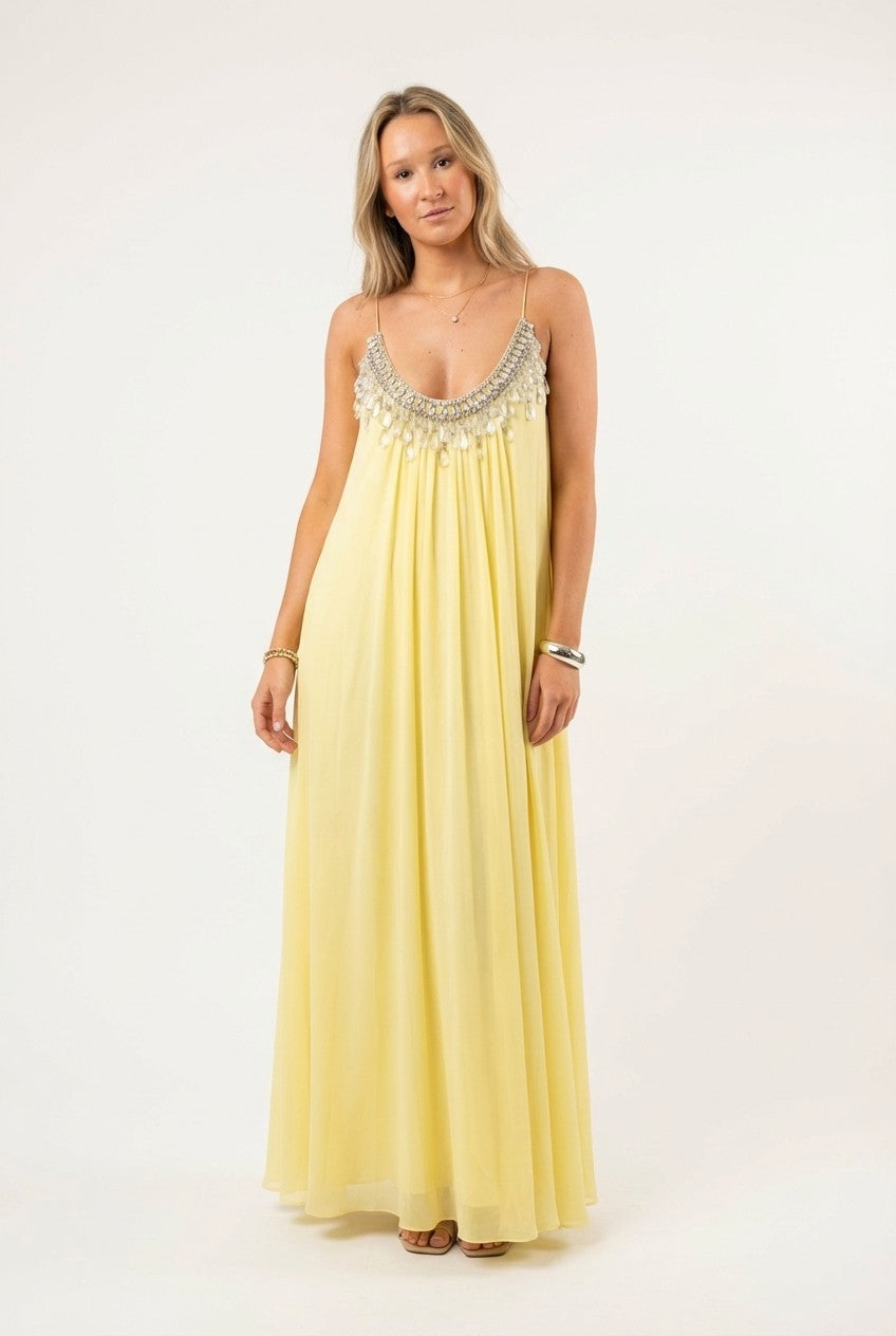 Aurielle Embellished Pleated Chiffon Maxi Dress