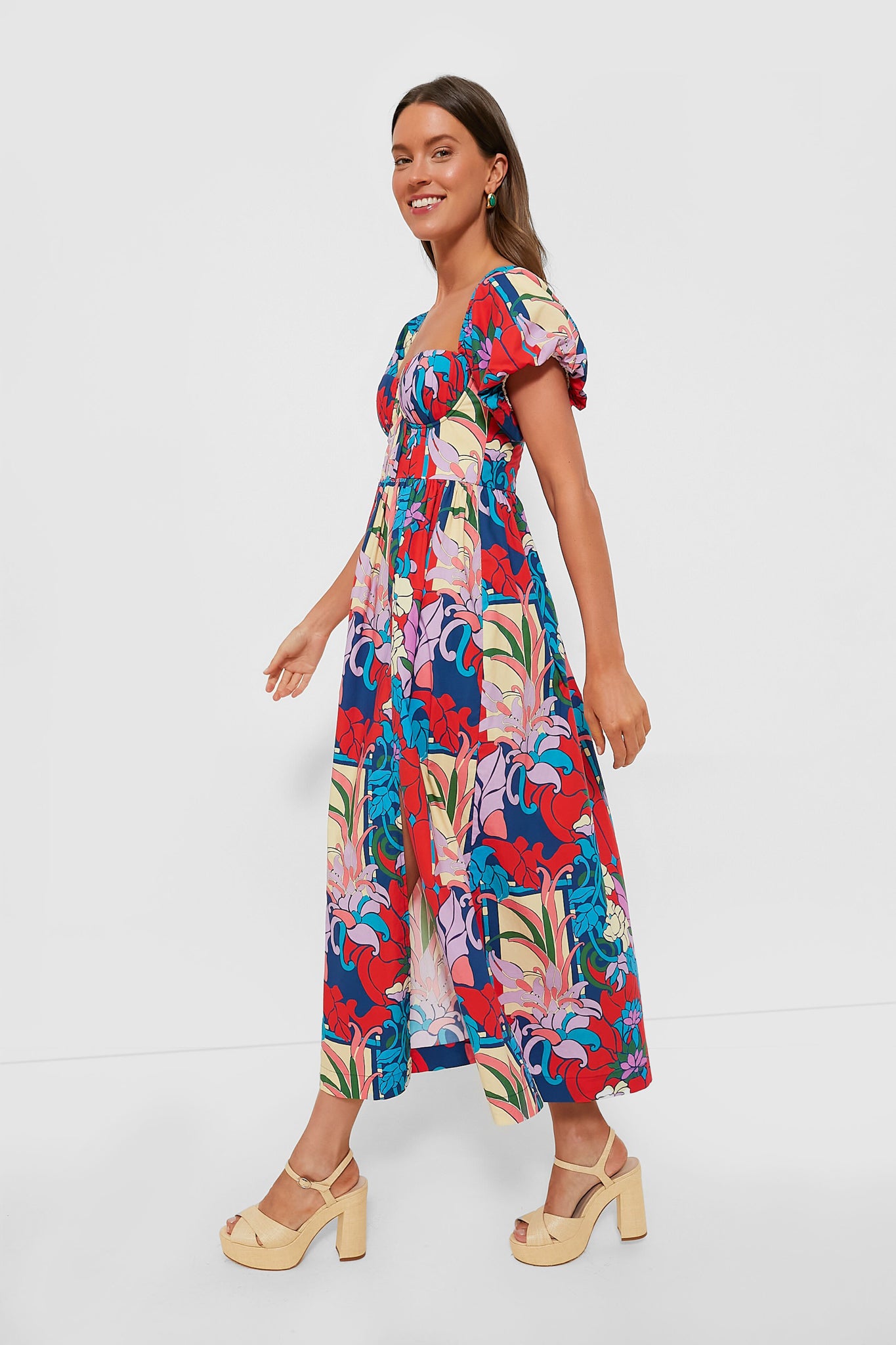 Climbing Cosmos Valerie Dress-Beilave