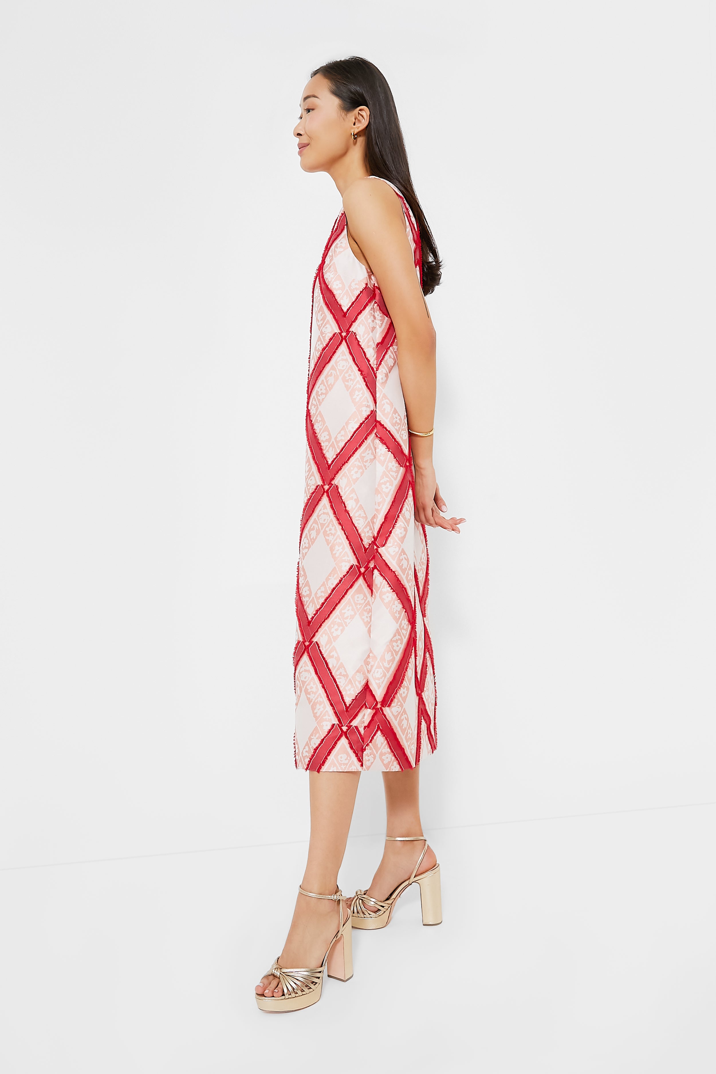 Vermillion Trellis Fil Coupe Francine Dress-Beilave