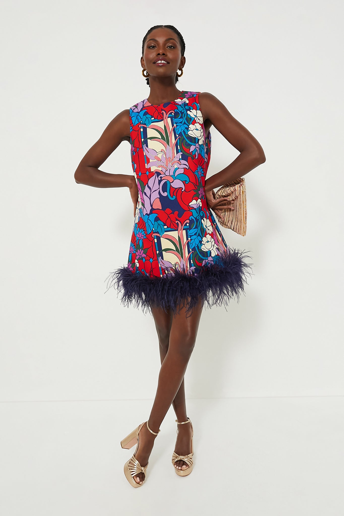 Climbing Cosmos Sleeveless Mod Ellie Dress-Beilave