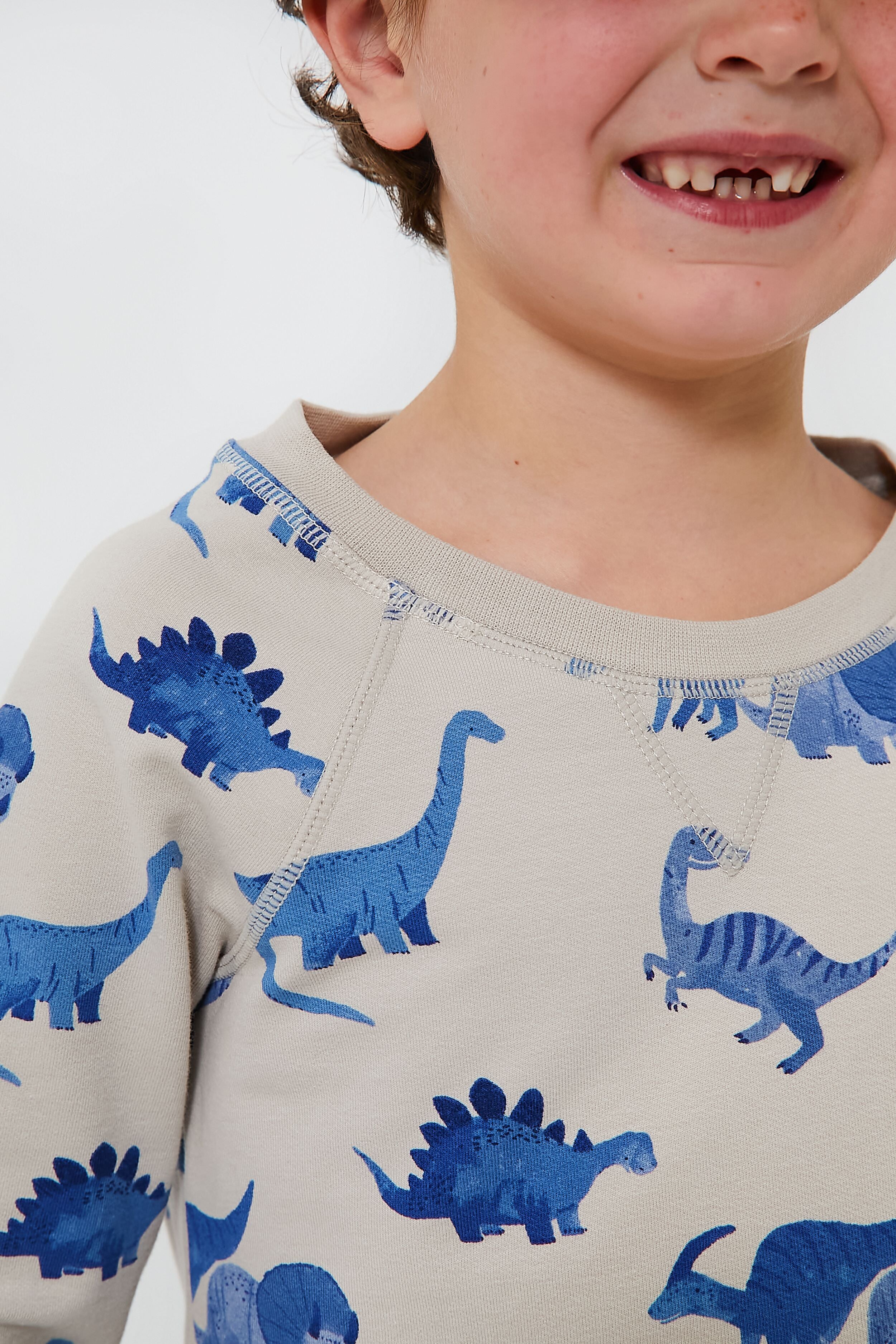 French Terry Dinos Raglan Sweatshirt and Jogger Set-Beilave