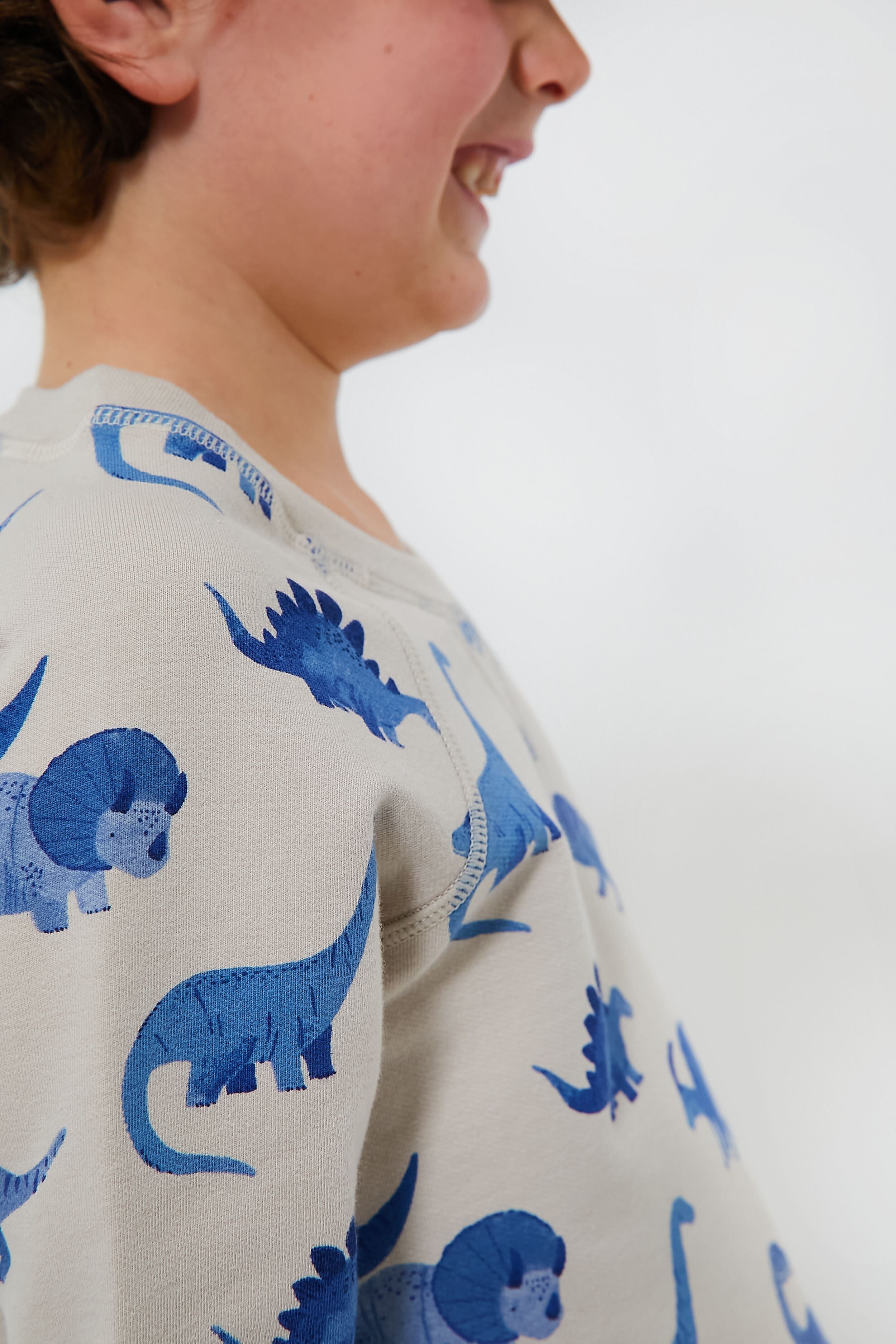 French Terry Dinos Raglan Sweatshirt and Jogger Set-Beilave