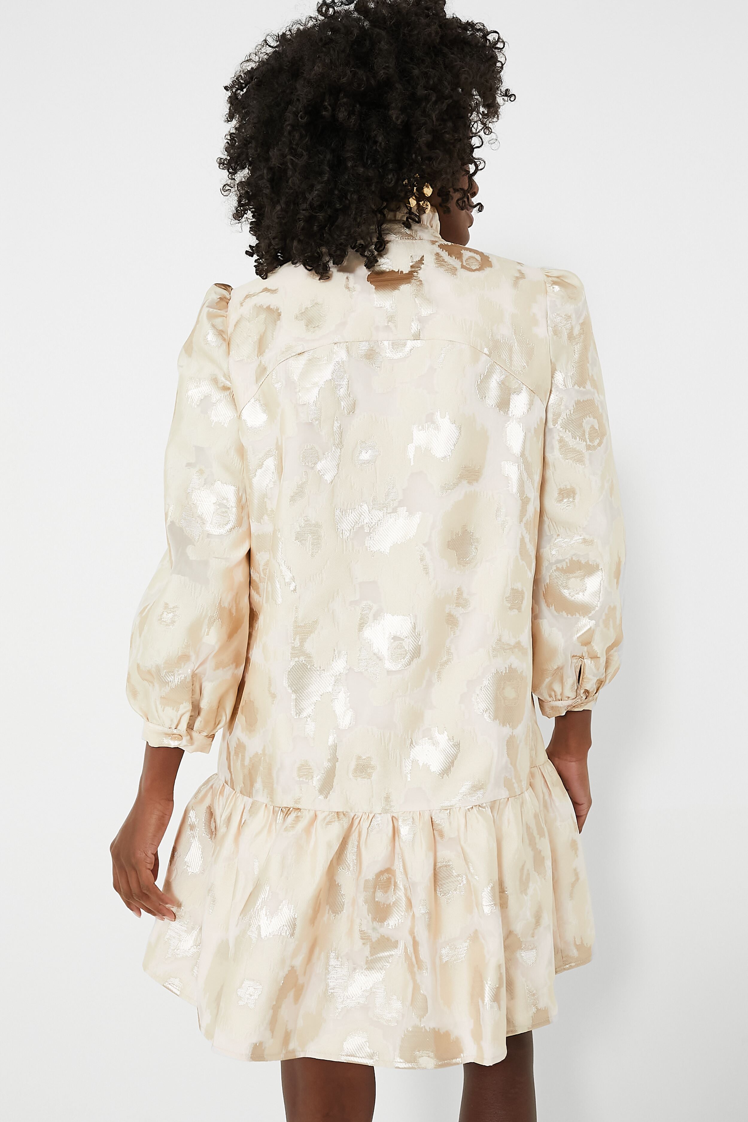 Champagne Fil Coupe Palmerston Dress-Beilave