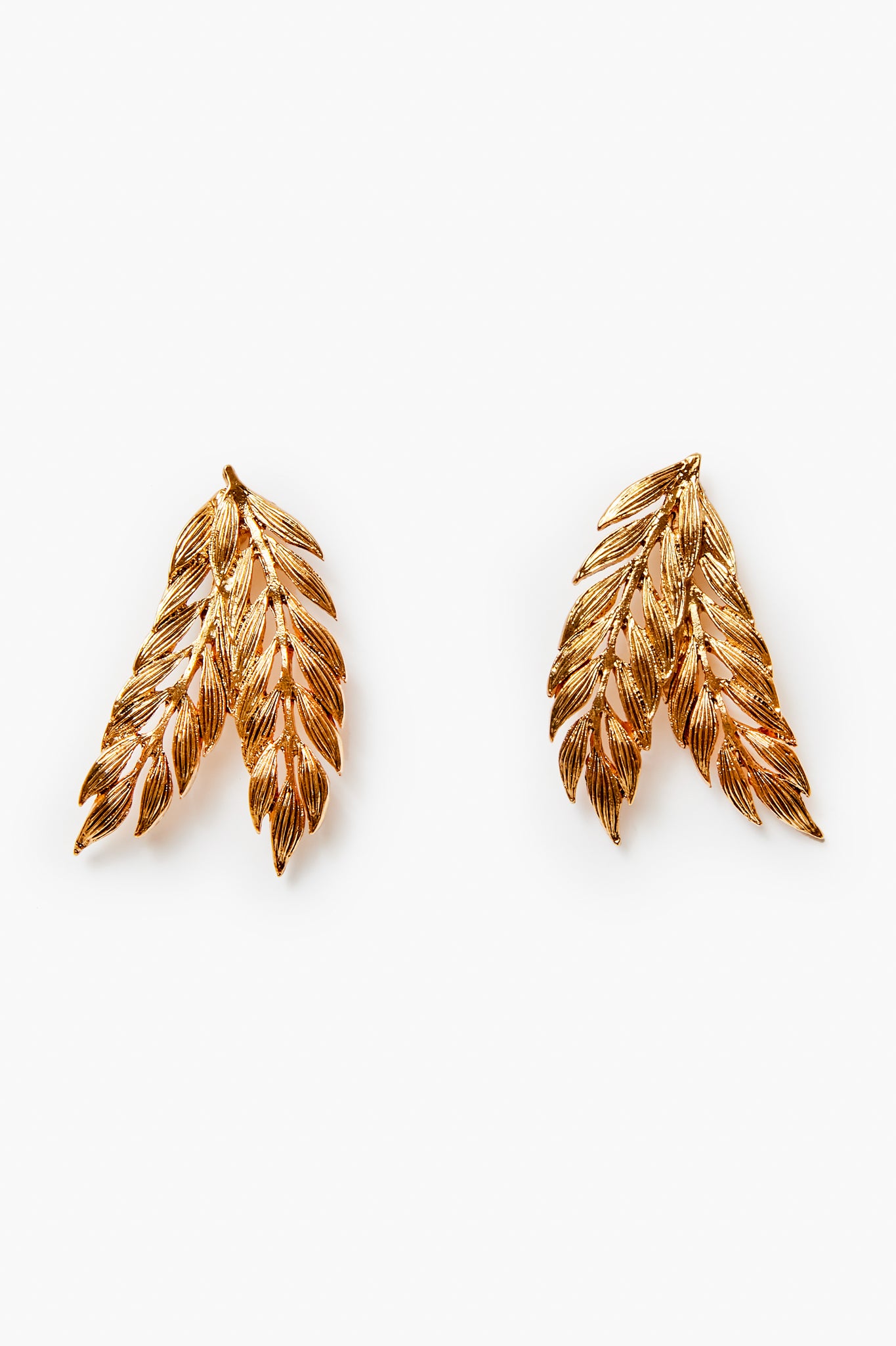 Gold Spruce Earrings-Beilave