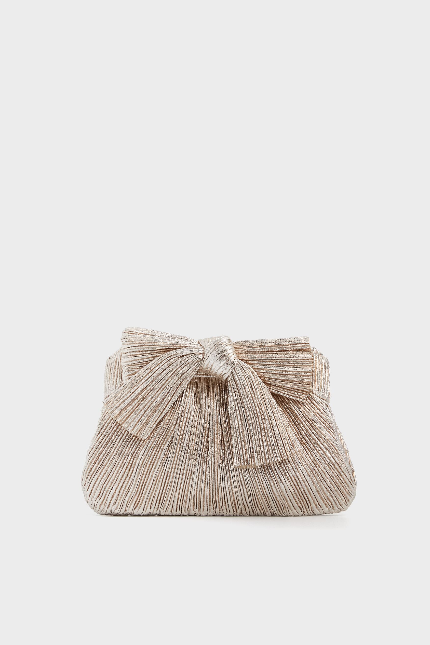 Champagne Shimmer Rayne Pleated Frame Clutch-Beilave