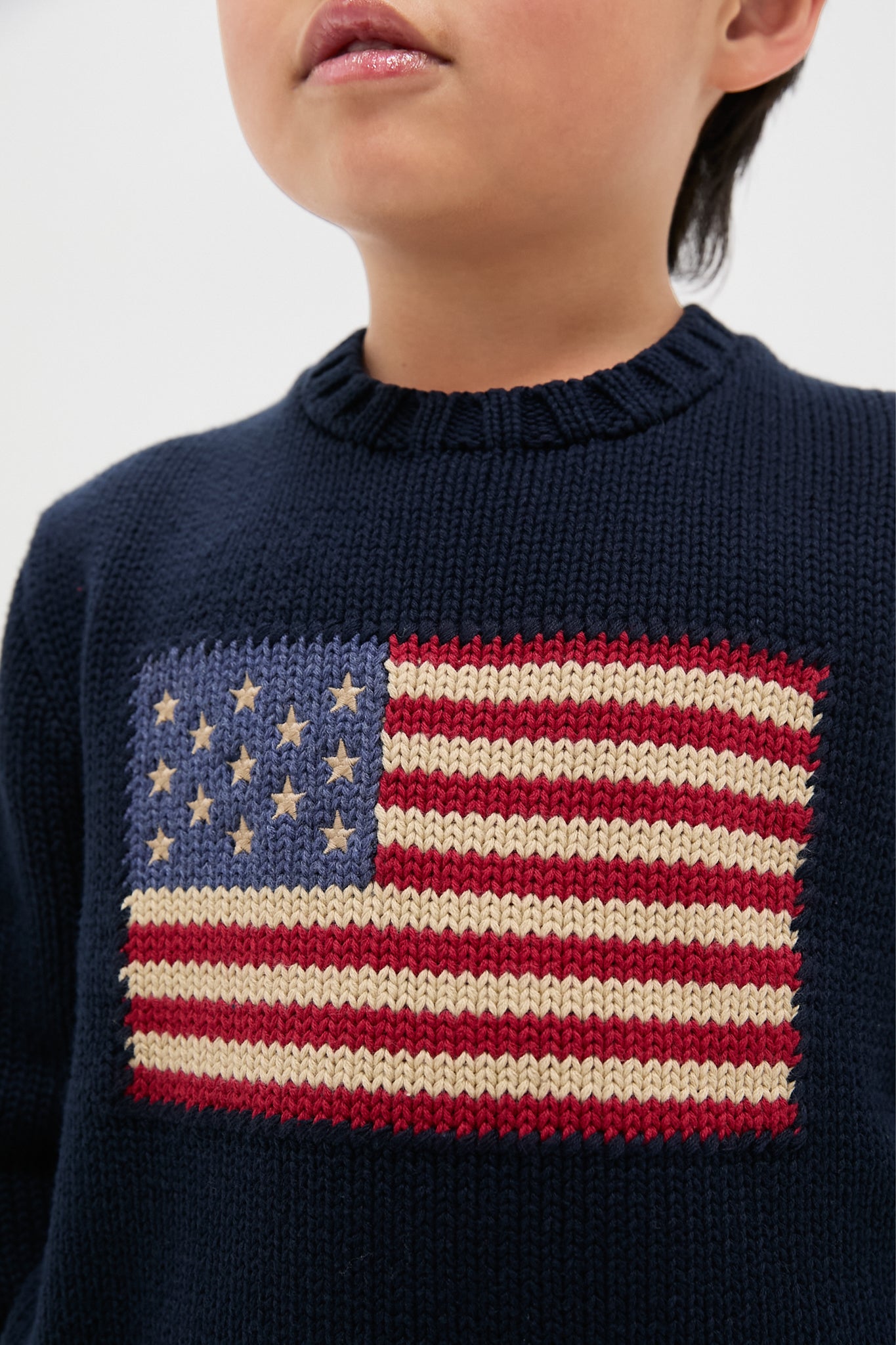 Flag Cotton Crewneck Sweater-Beilave