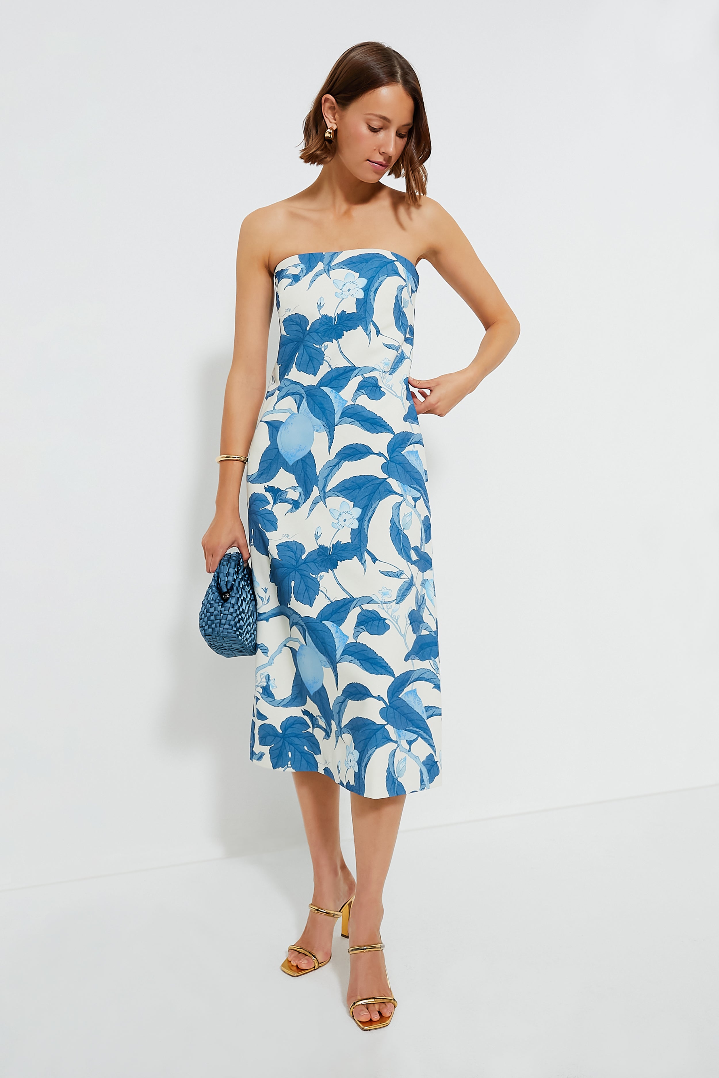 Bonnie Blossom Marin Dress-Beilave