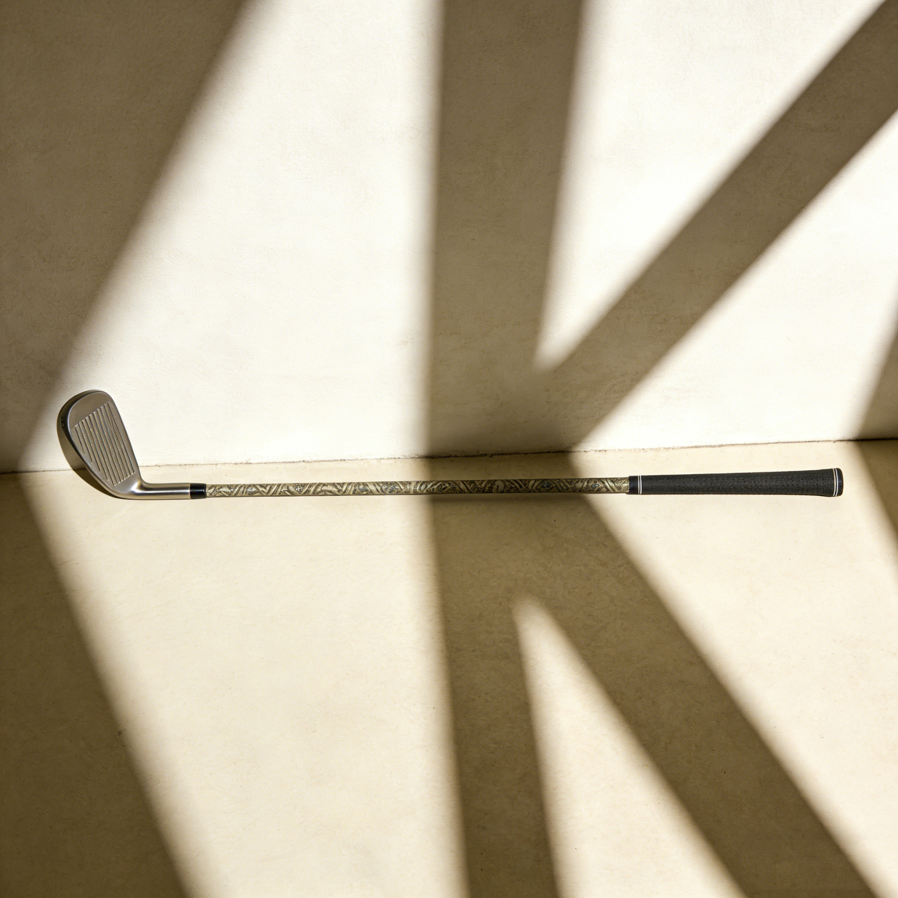 Club de golf professionnel 