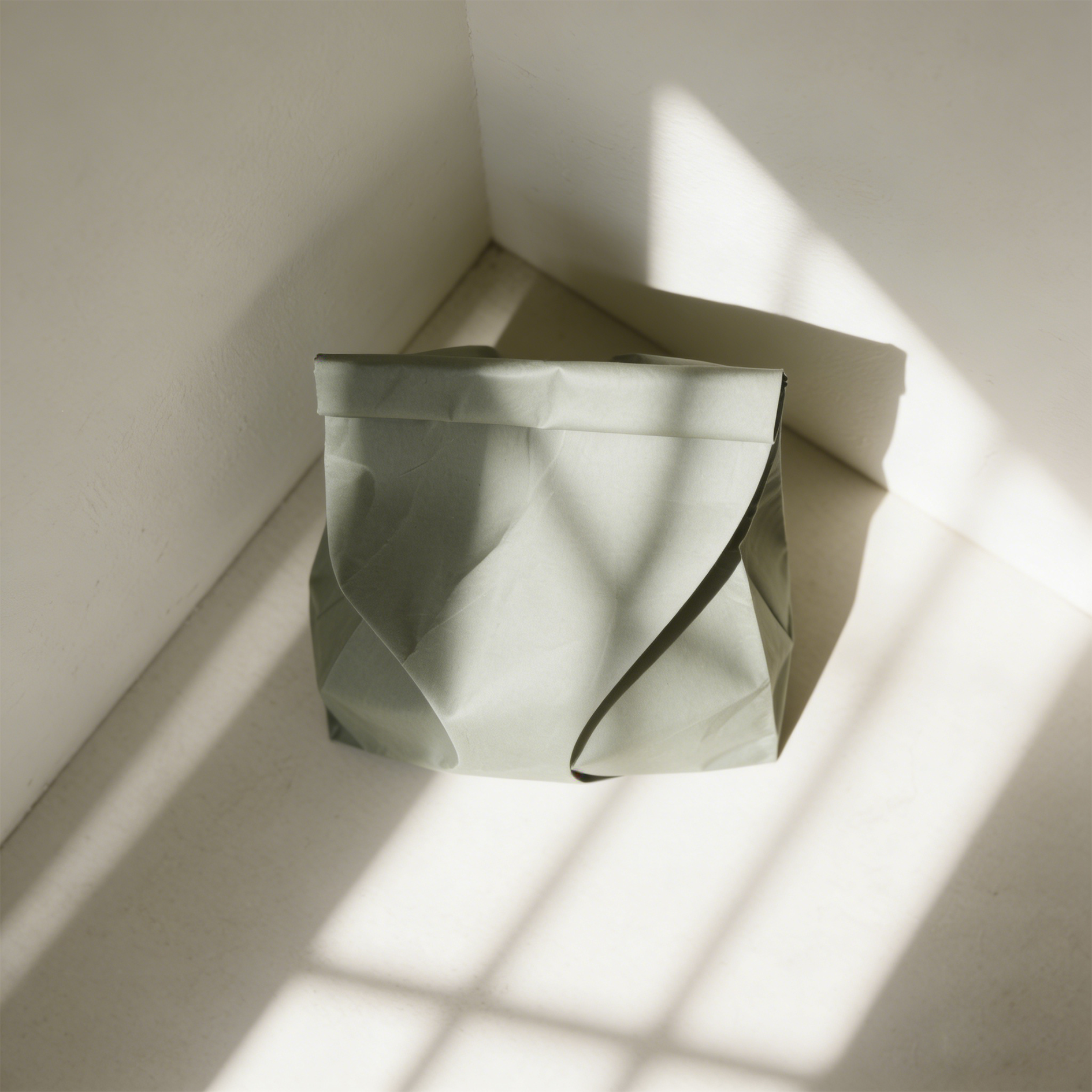 10-Pack Kraft Paper Storage Sacks