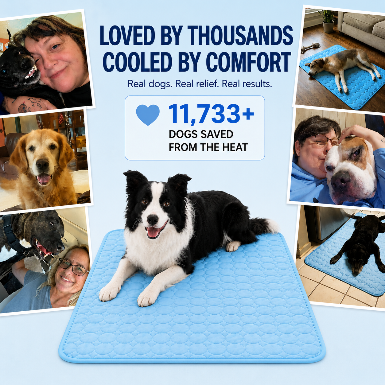 Cooling Pet Mat – Keep Your Dog & Cat Comfortable This Summer