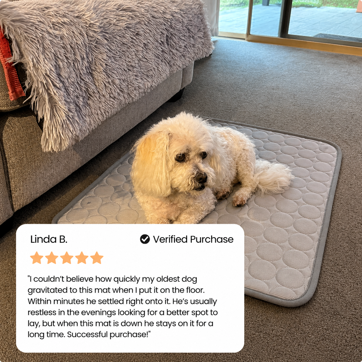 Cooling Pet Mat – Keep Your Dog & Cat Comfortable This Summer