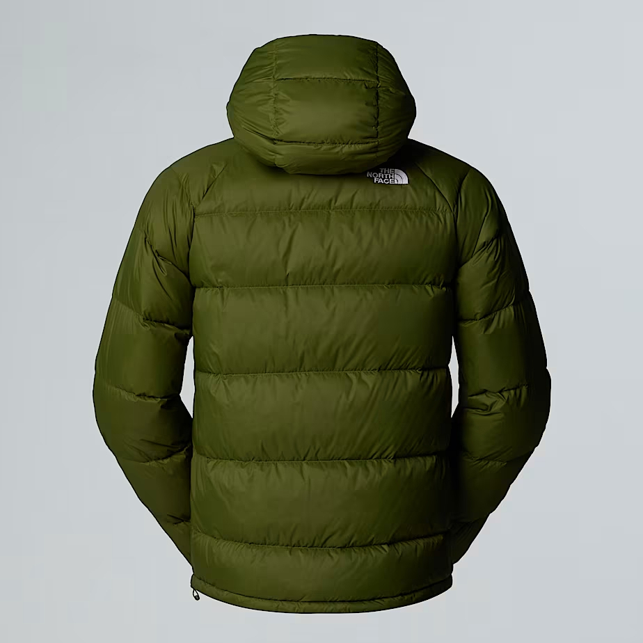 🔥Hydrenalite down hooded jacket for men TNF