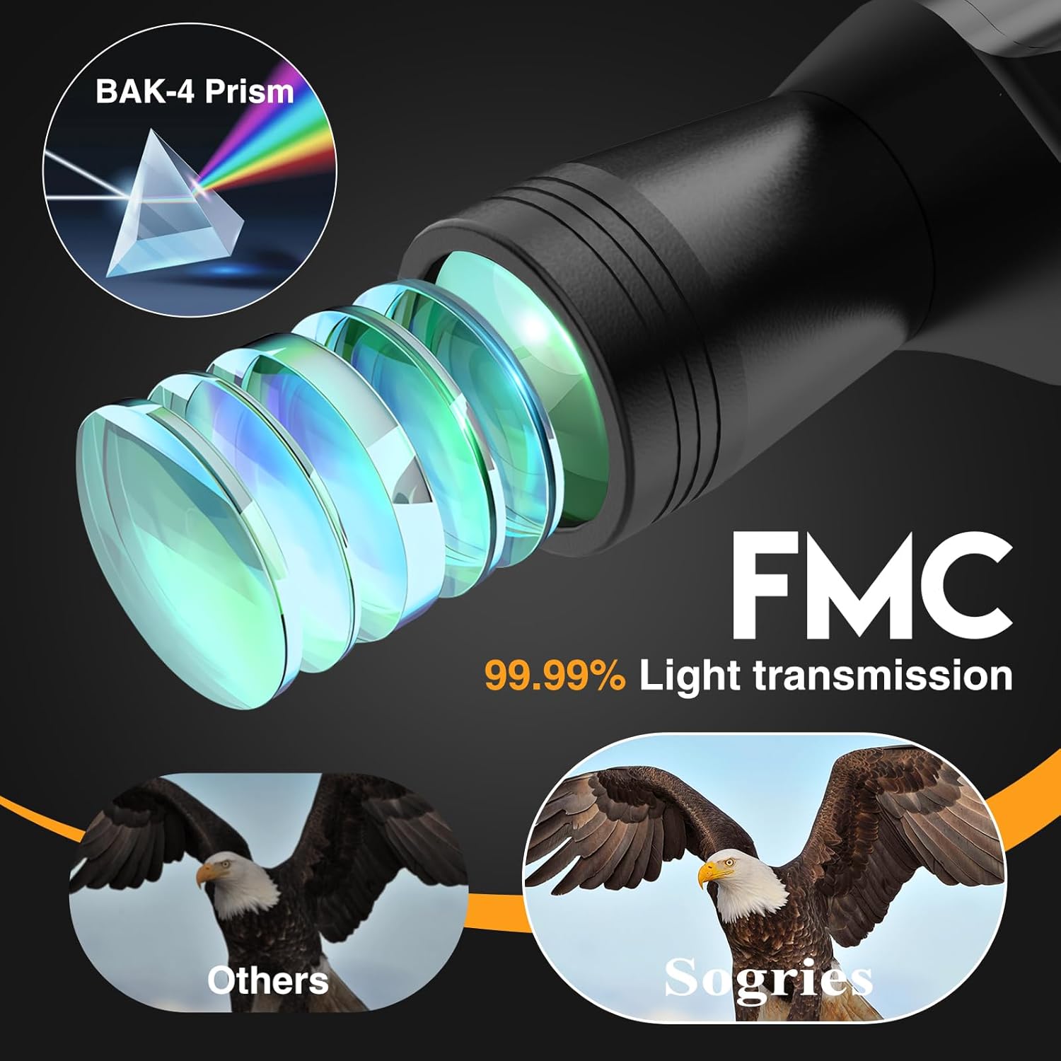 Top Choice for Birdwatching Trips - 10×50 High-Definition Binoculars