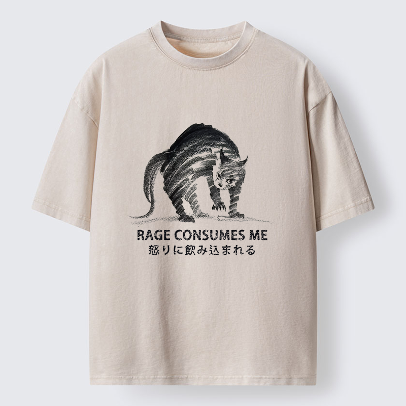 FadedStorm Rage Consumes Cat Washed T-Shirt