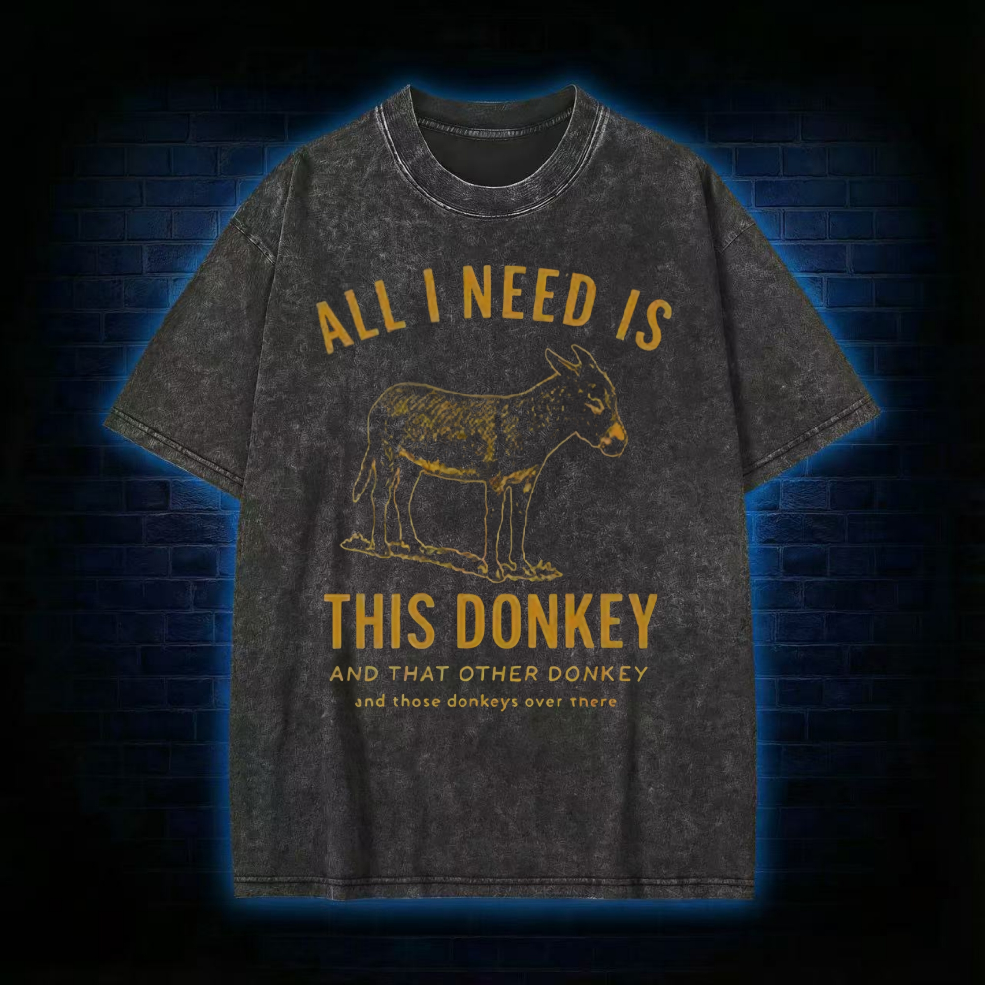 All I Need is This Donkey Washed T-shirt