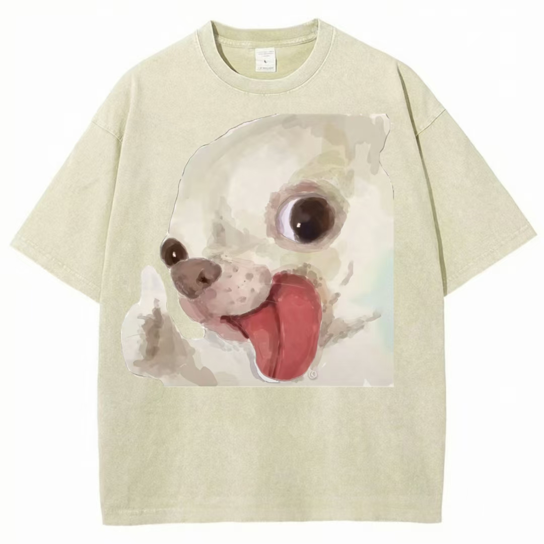 Thumbs Up Chihuahua Meme Washed T-Shirt