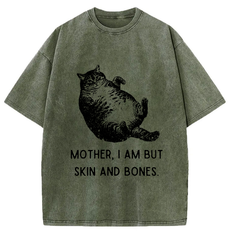 FadedStorm Overweight Cat And Its Doting Owner Washed T-Shirt