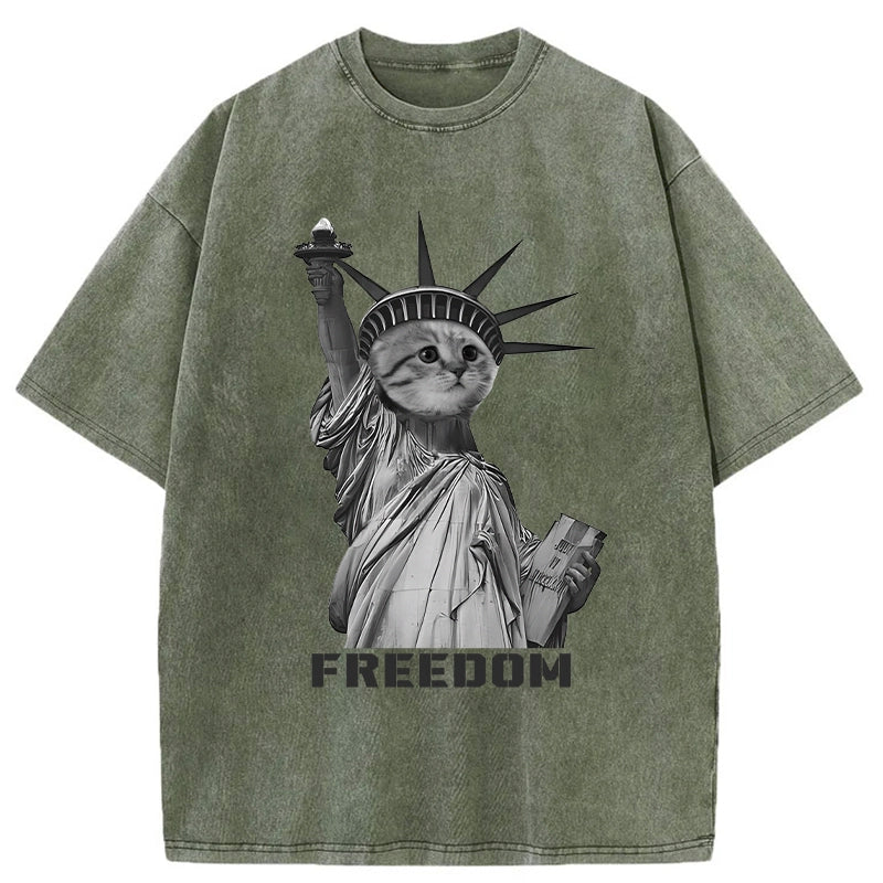  Freedom Cat Statue Washed T-Shirt