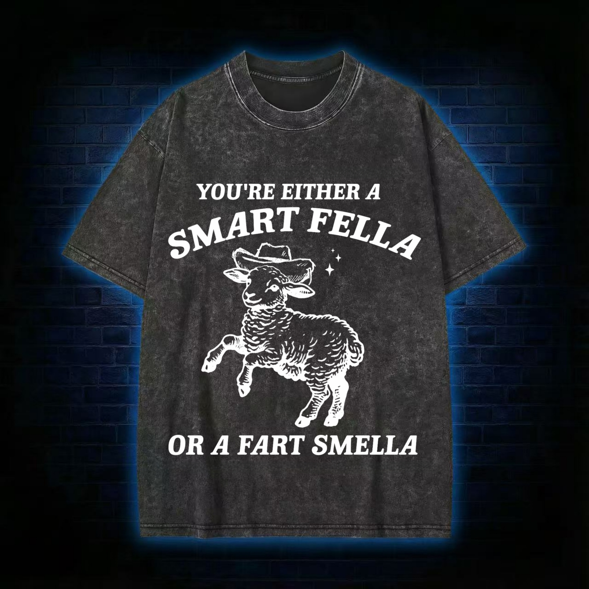You're Either A Smart Fella Or A Fart Smella Washed T-shirt