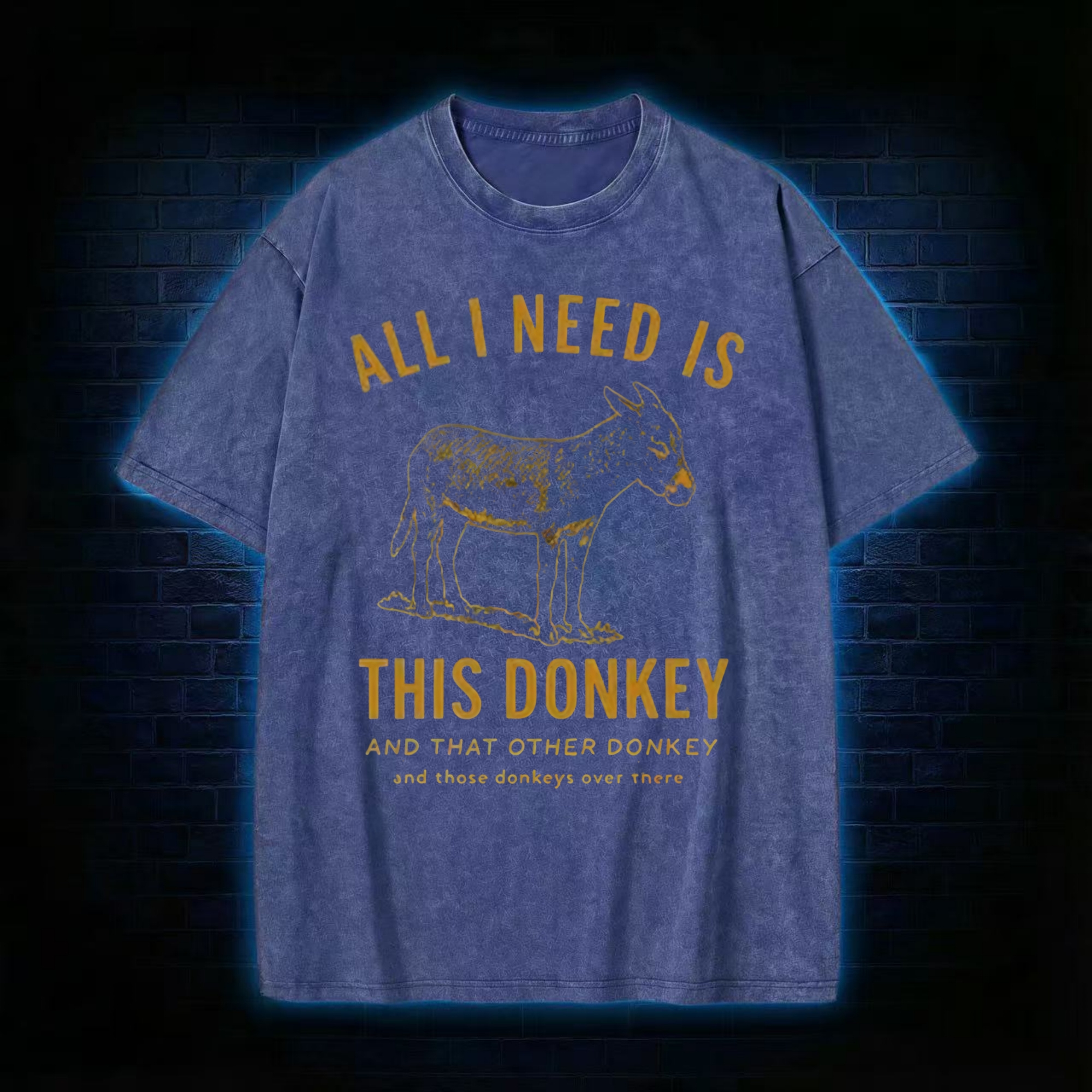 All I Need is This Donkey Washed T-shirt