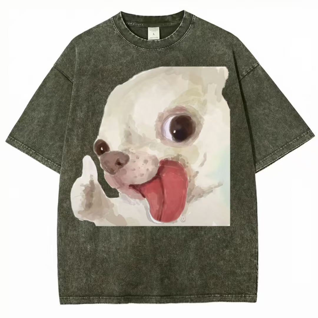 Thumbs Up Chihuahua Meme Washed T-Shirt