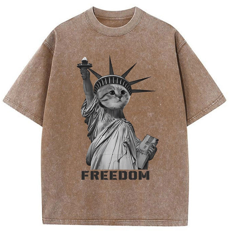  Freedom Cat Statue Washed T-Shirt
