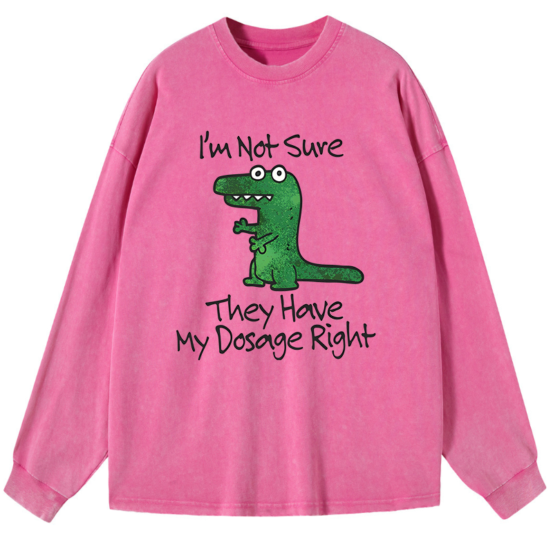 Dinosaur Meme Sarcastic Ironic Washed Long Sleeve T-Shirt