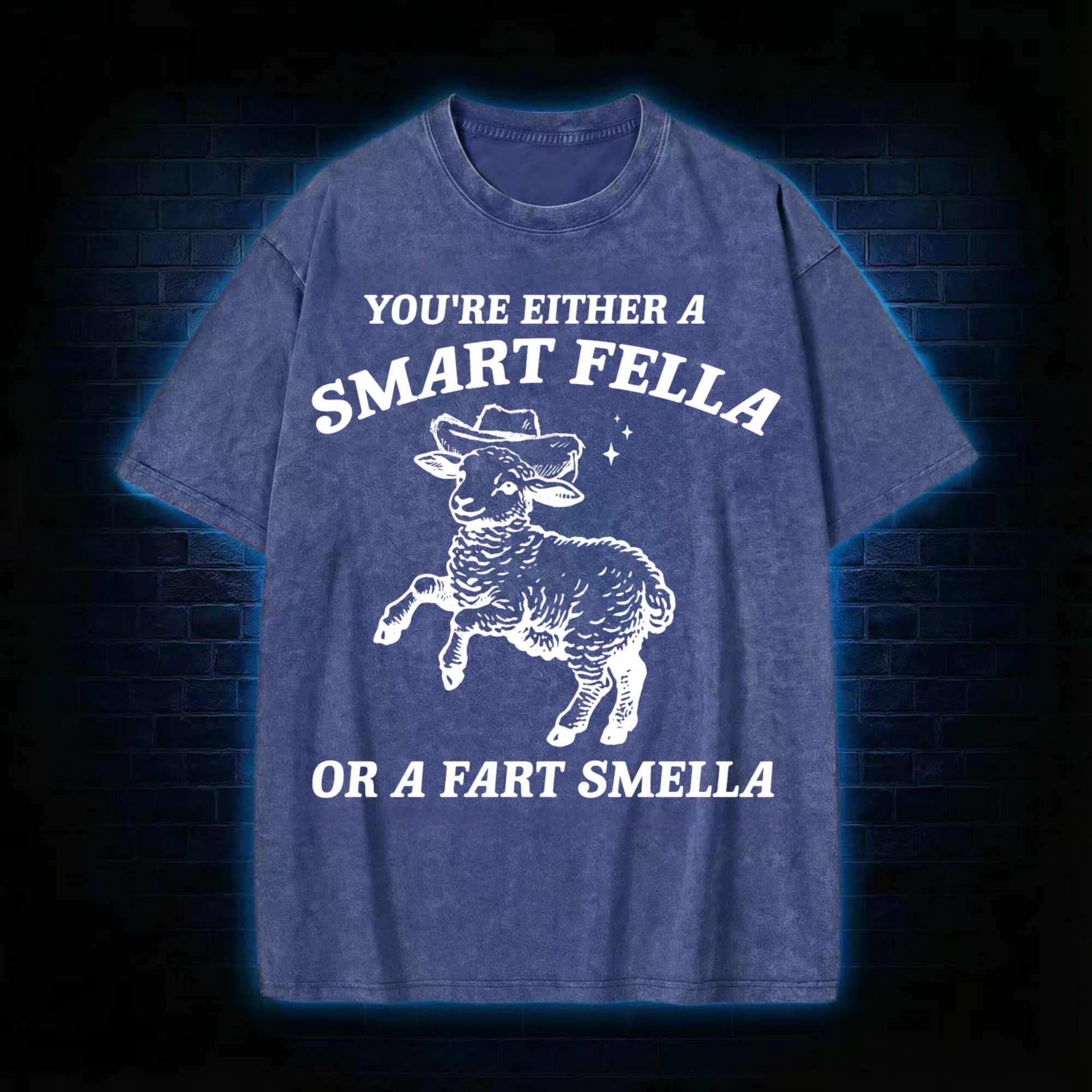 You're Either A Smart Fella Or A Fart Smella Washed T-shirt