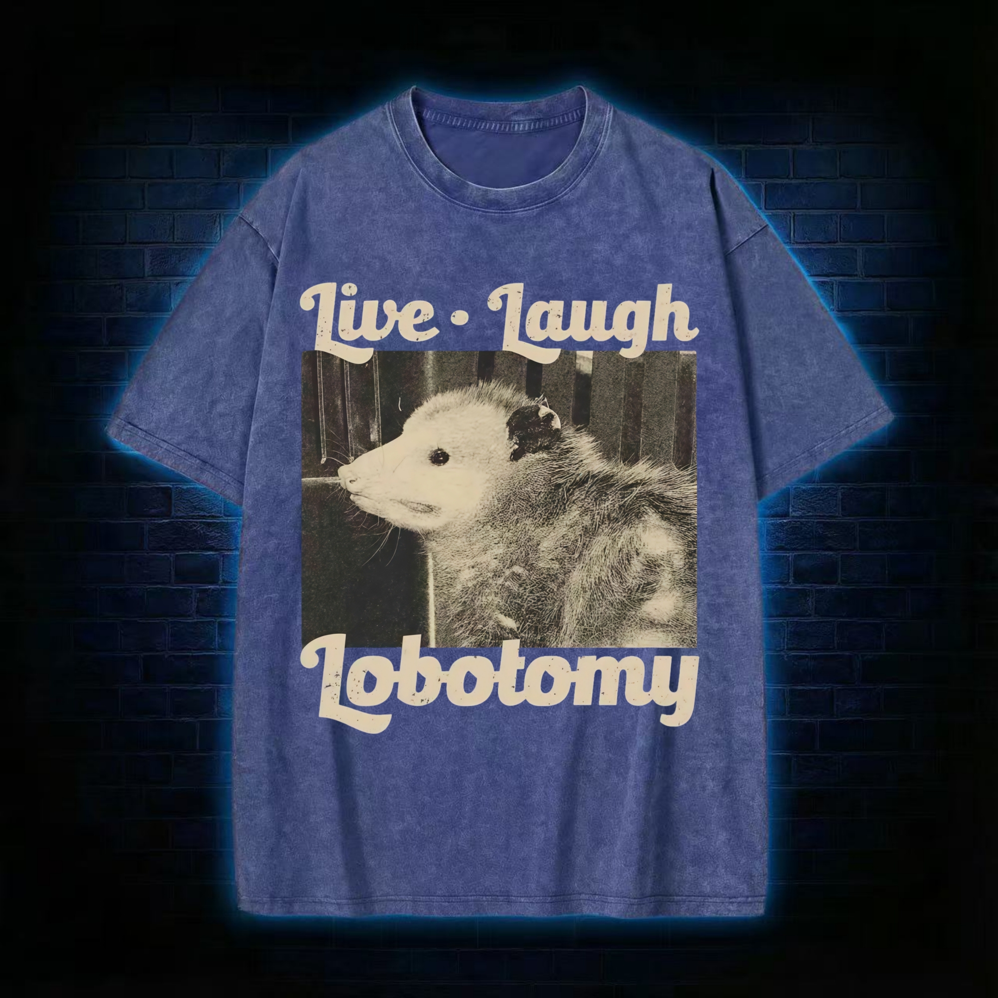 Live Laugh Lobotomy Washed T-shirt