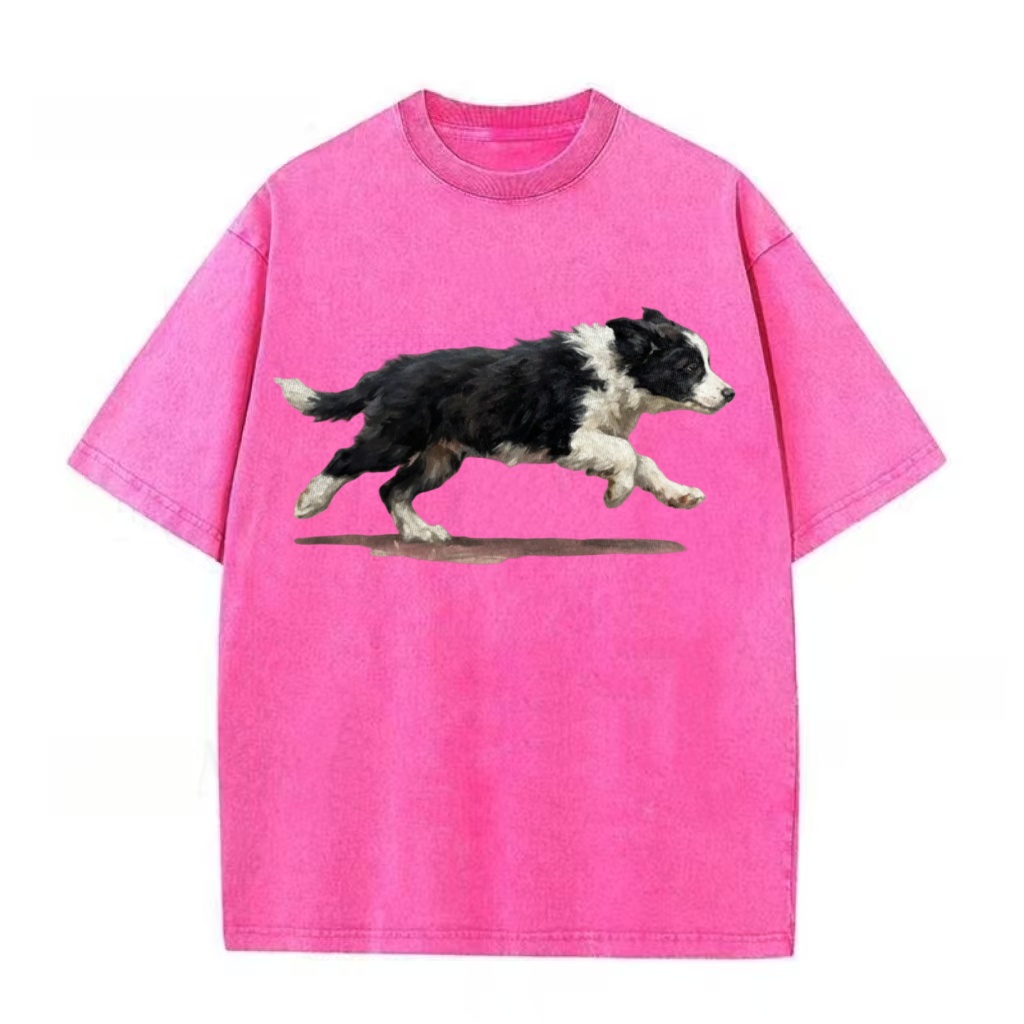Border Collie Sprint Graphic Washed T-Shirt