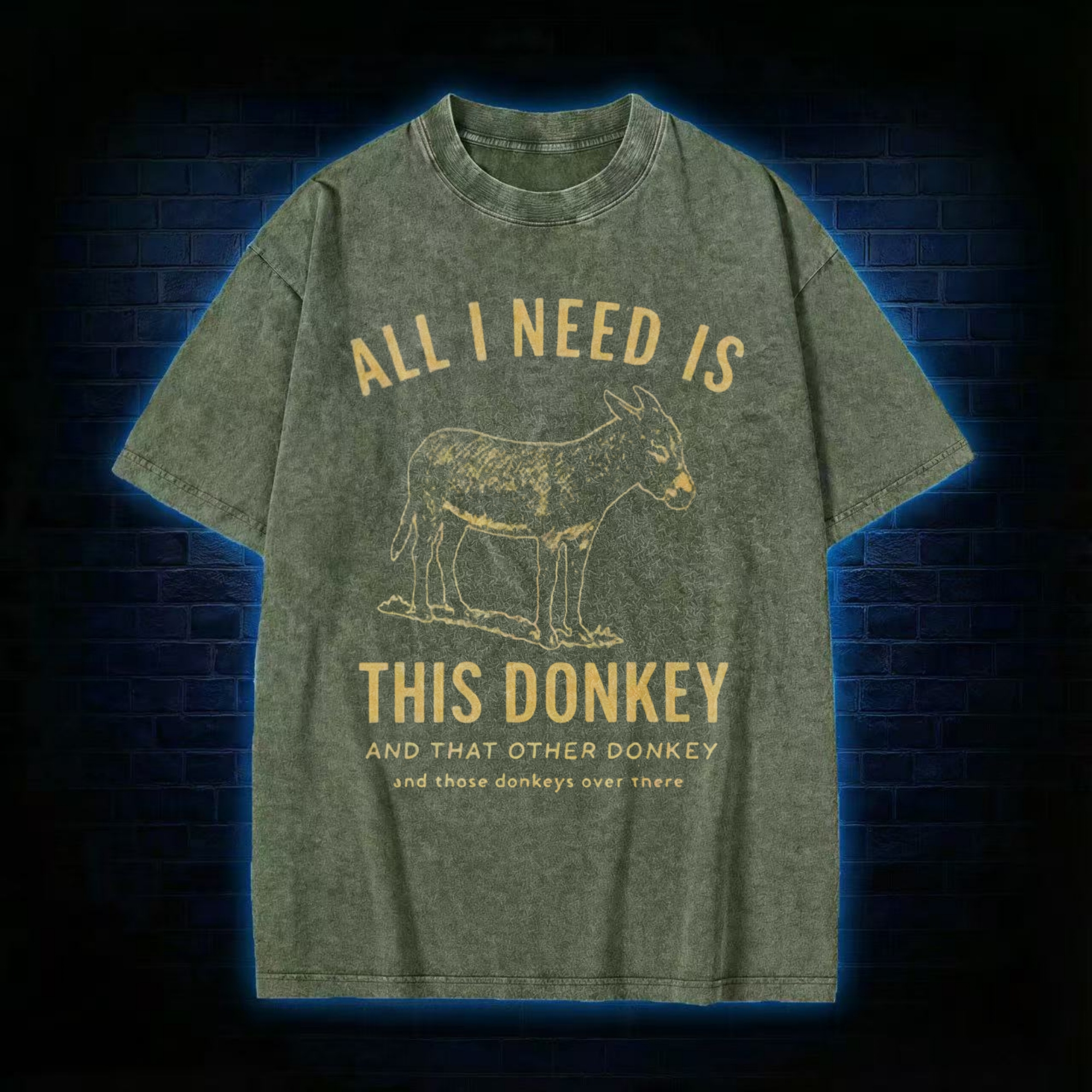 All I Need is This Donkey Washed T-shirt