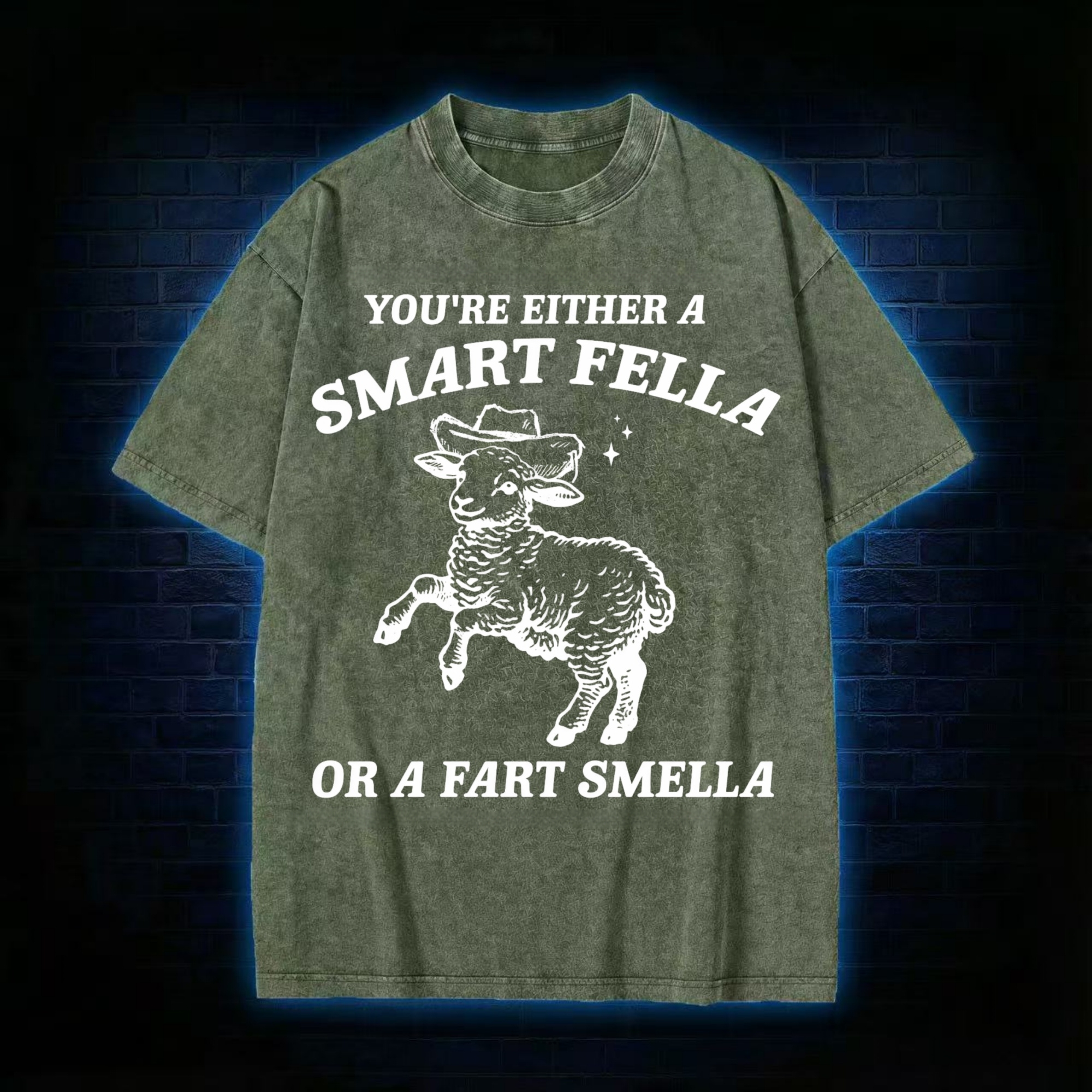 You're Either A Smart Fella Or A Fart Smella Washed T-shirt