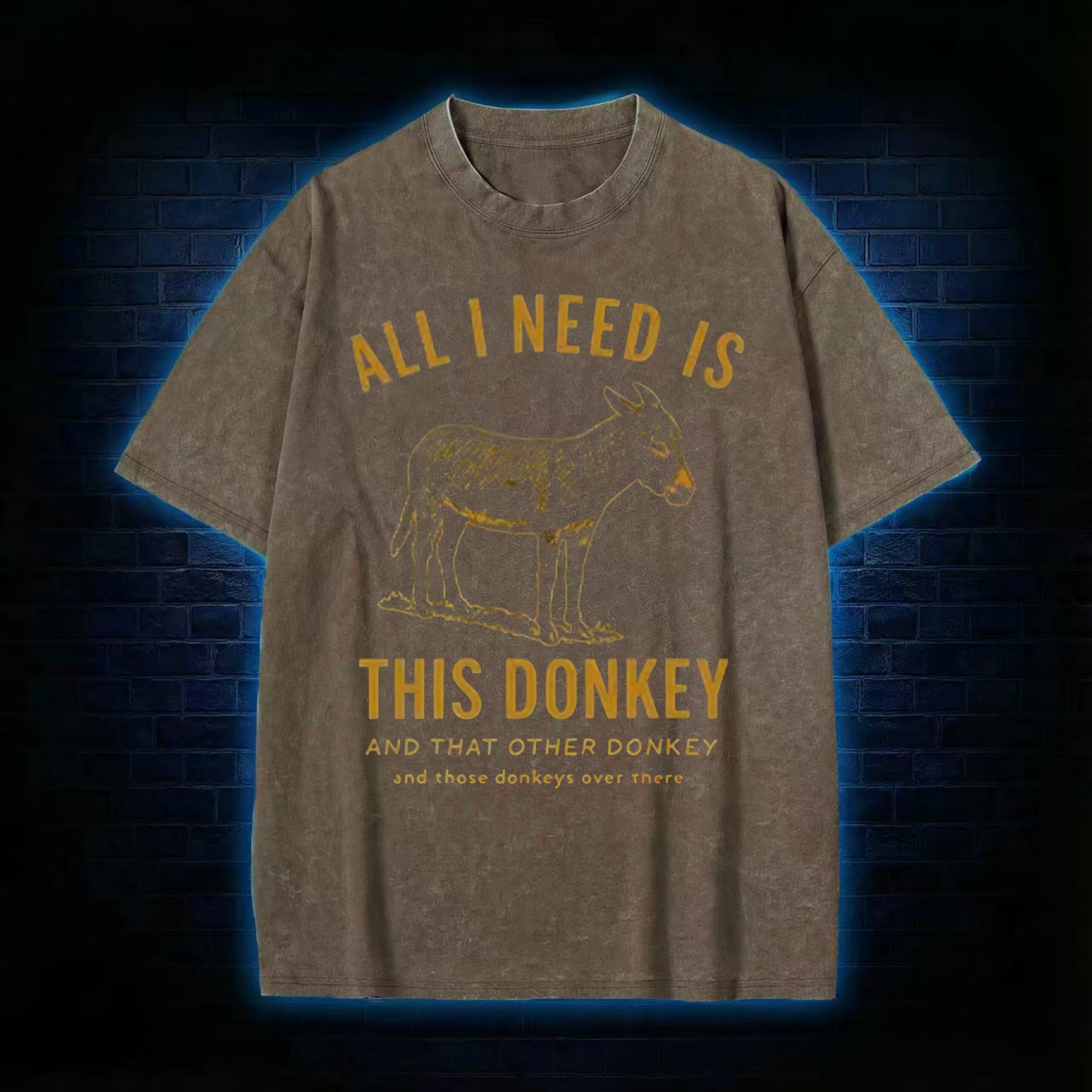 All I Need is This Donkey Washed T-shirt