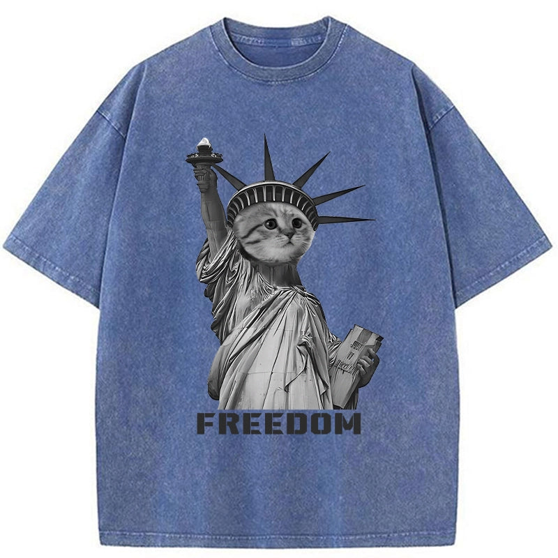  Freedom Cat Statue Washed T-Shirt
