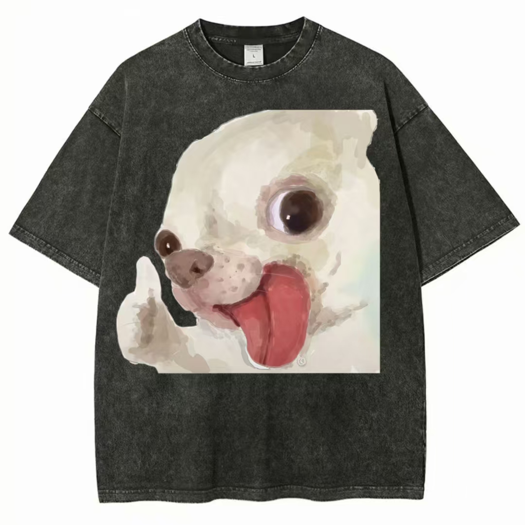Thumbs Up Chihuahua Meme Washed T-Shirt