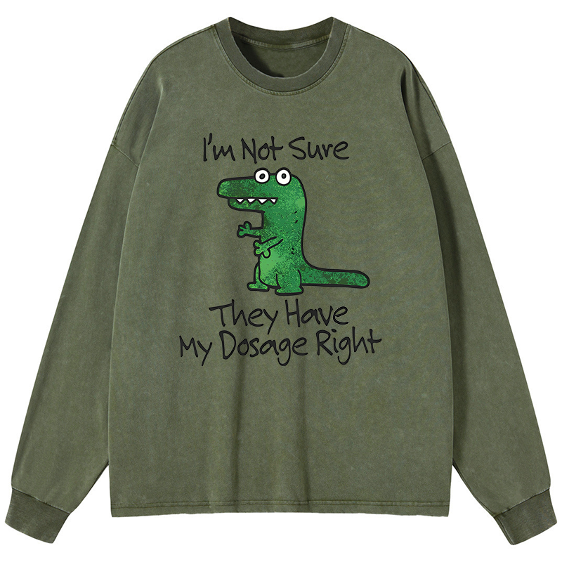 Dinosaur Meme Sarcastic Ironic Washed Long Sleeve T-Shirt