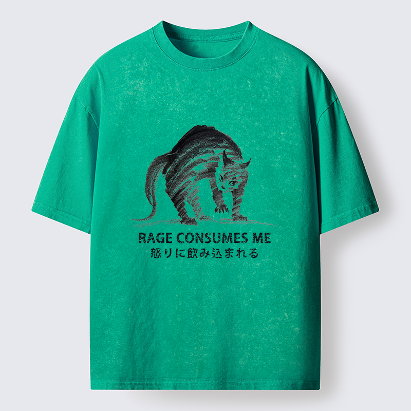 FadedStorm Rage Consumes Cat Washed T-Shirt