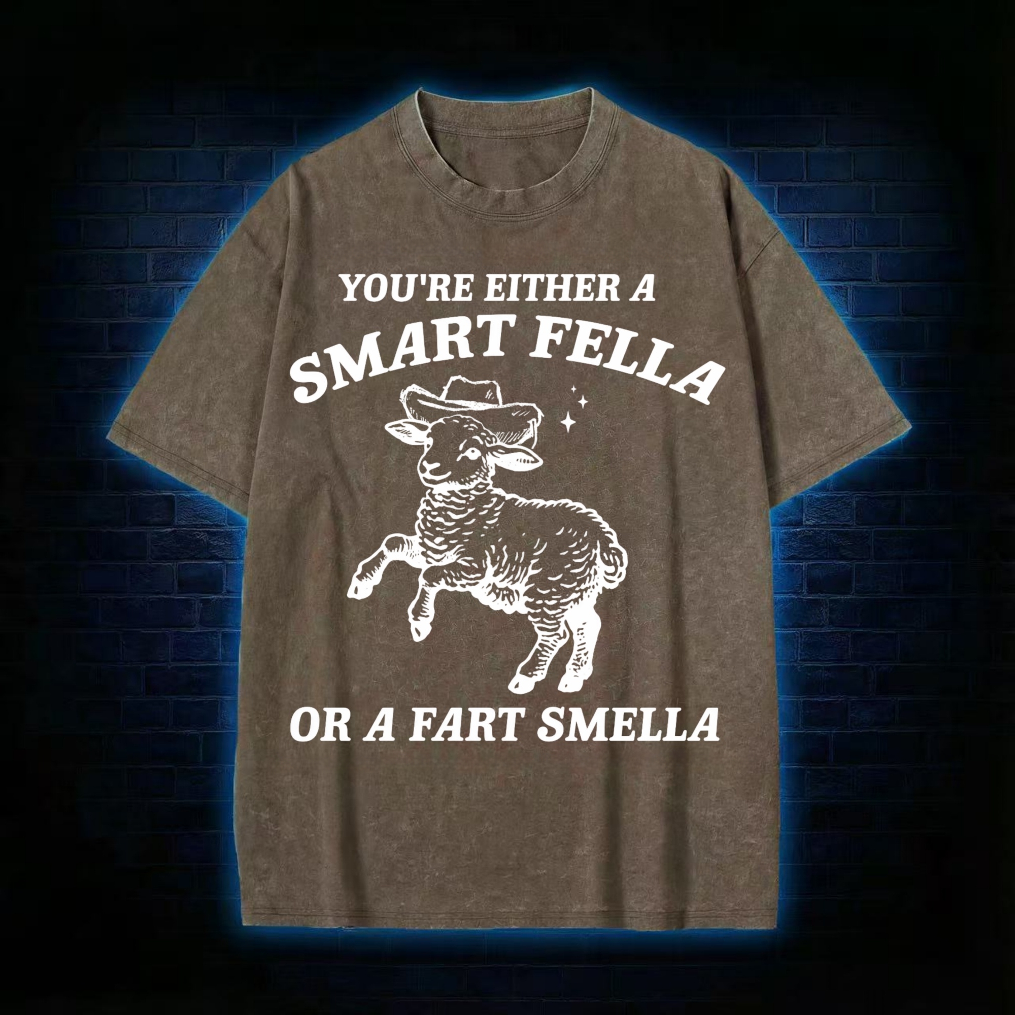 You're Either A Smart Fella Or A Fart Smella Washed T-shirt