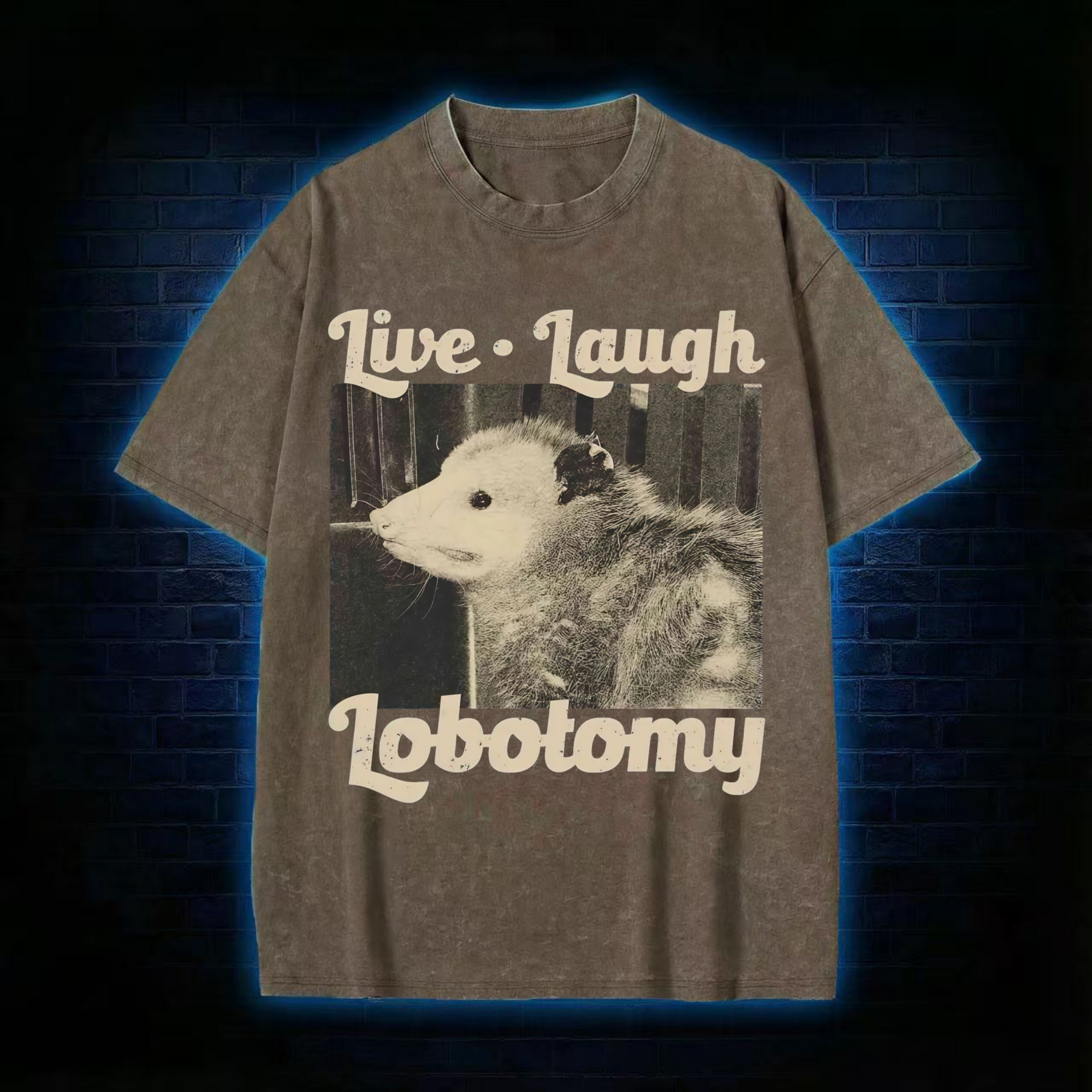 Live Laugh Lobotomy Washed T-shirt