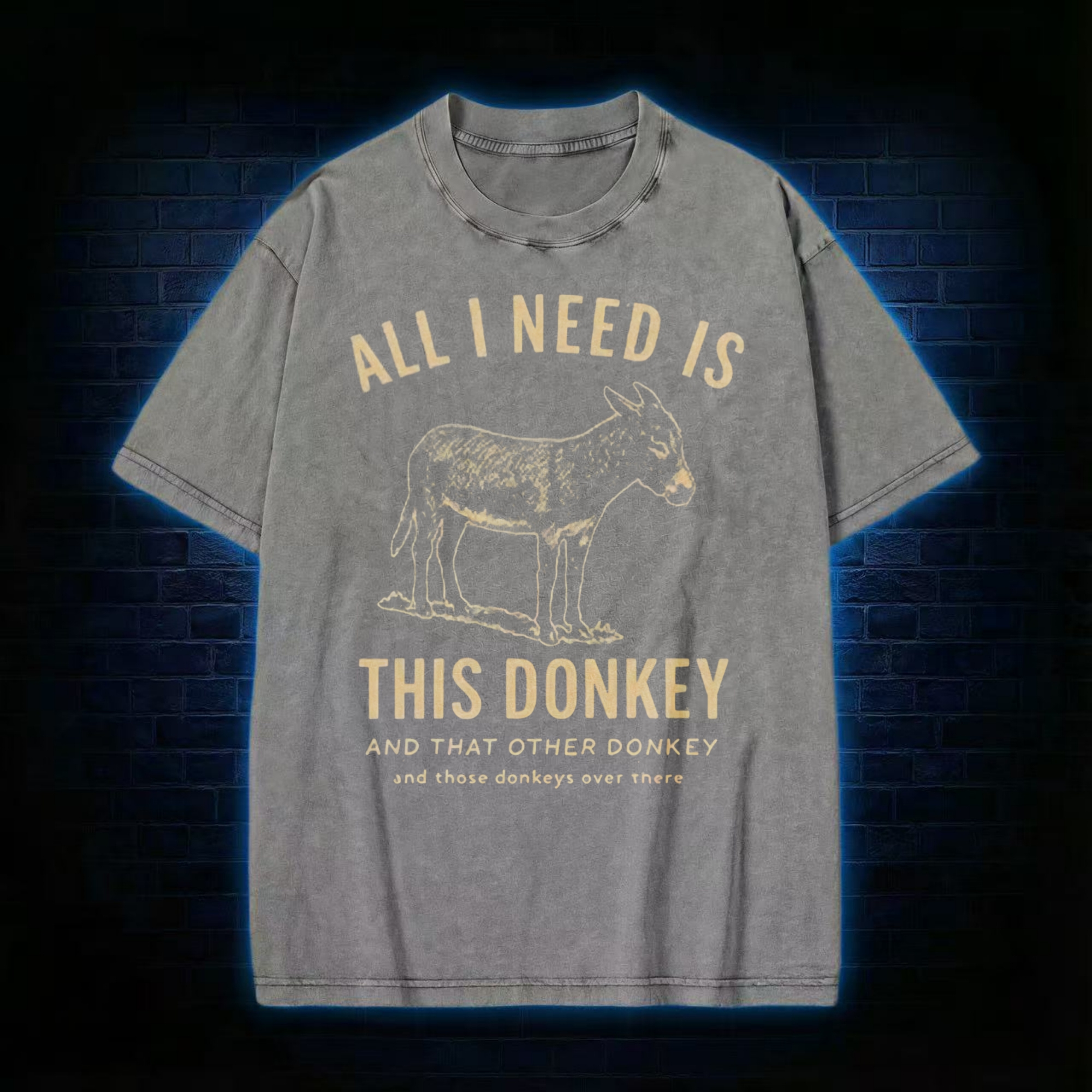 All I Need is This Donkey Washed T-shirt