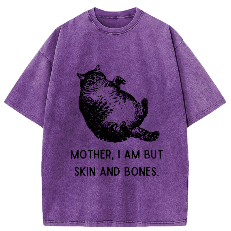FadedStorm Overweight Cat And Its Doting Owner Washed T-Shirt