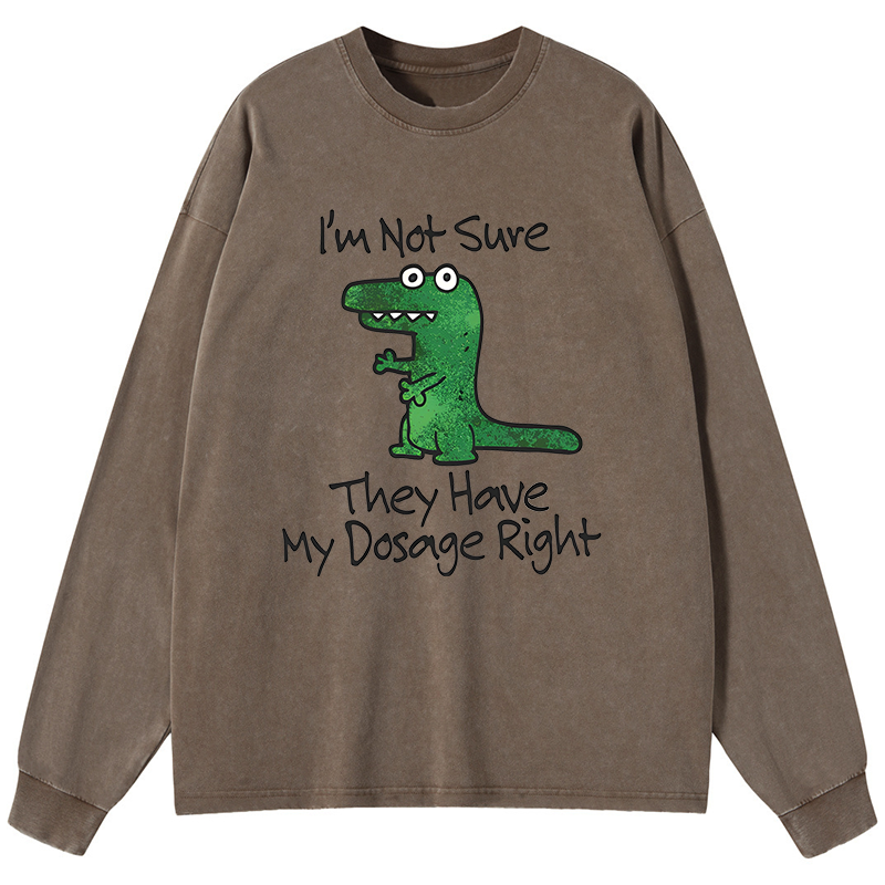 Dinosaur Meme Sarcastic Ironic Washed Long Sleeve T-Shirt