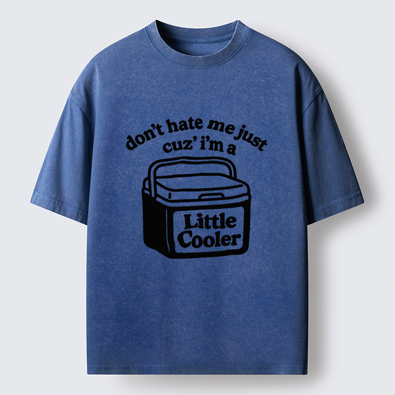  Little Cooler Funny Washed T-Shirt