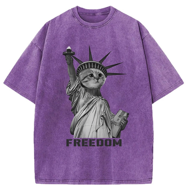  Freedom Cat Statue Washed T-Shirt
