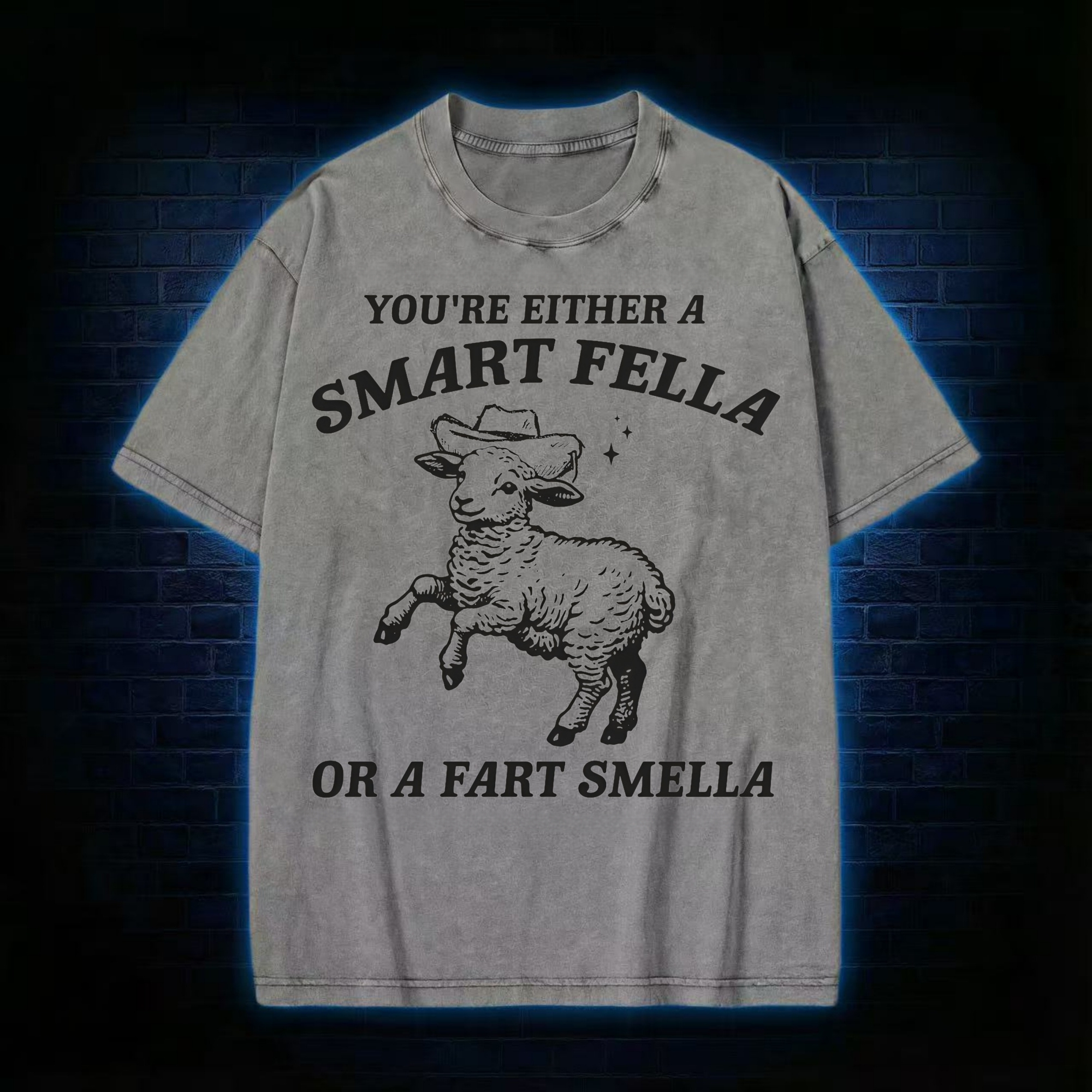 You're Either A Smart Fella Or A Fart Smella Washed T-shirt