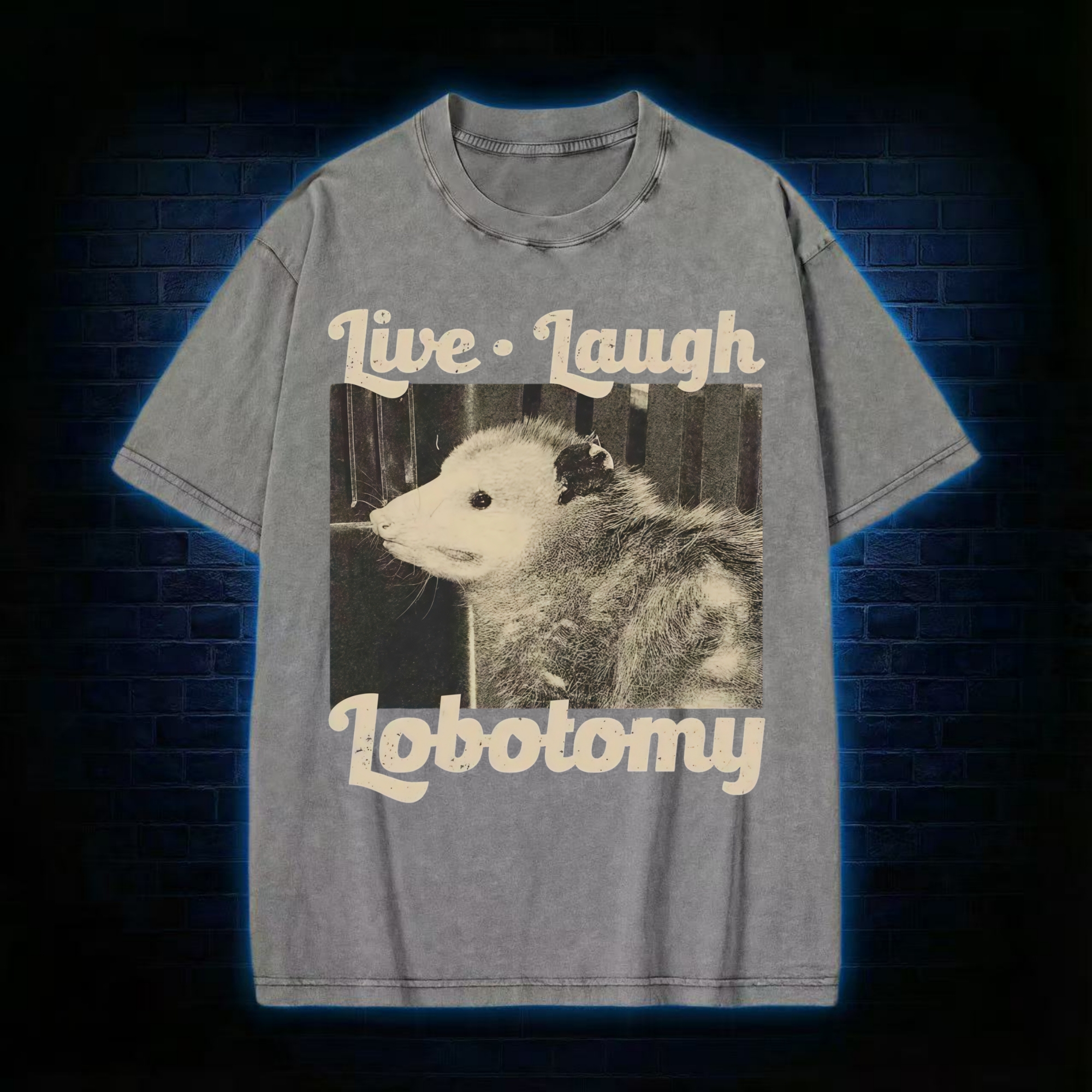 Live Laugh Lobotomy Washed T-shirt