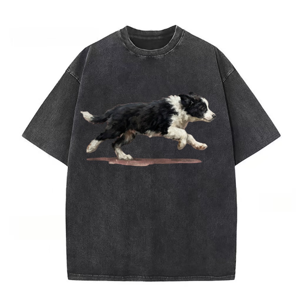 Border Collie Sprint Graphic Washed T-Shirt