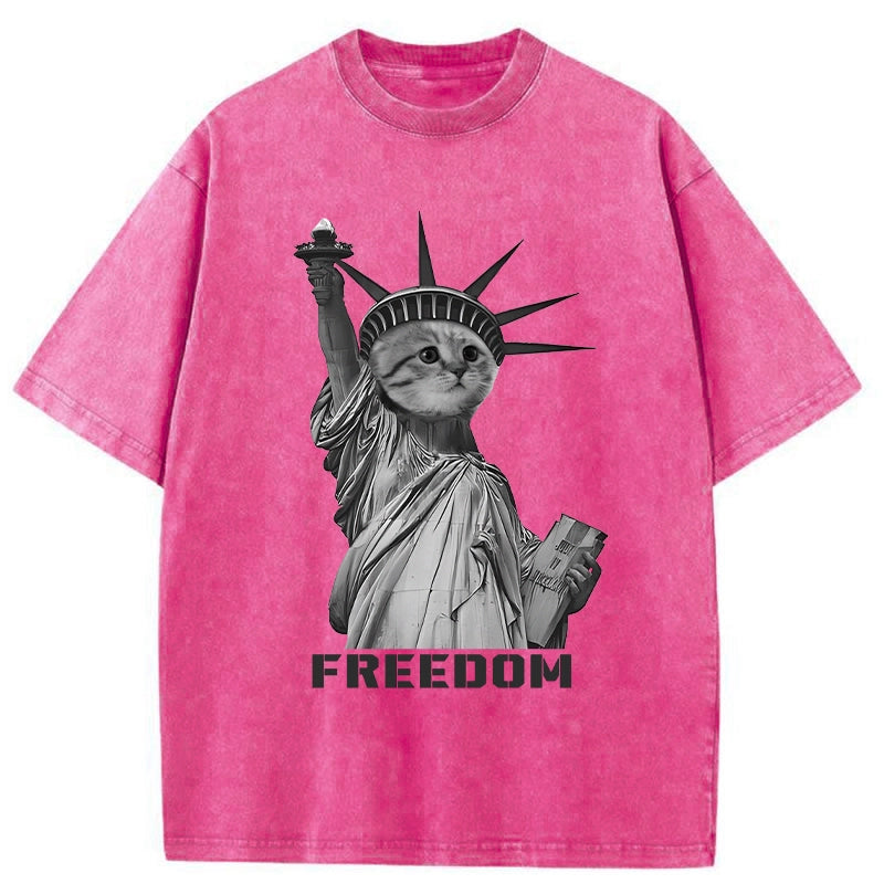  Freedom Cat Statue Washed T-Shirt