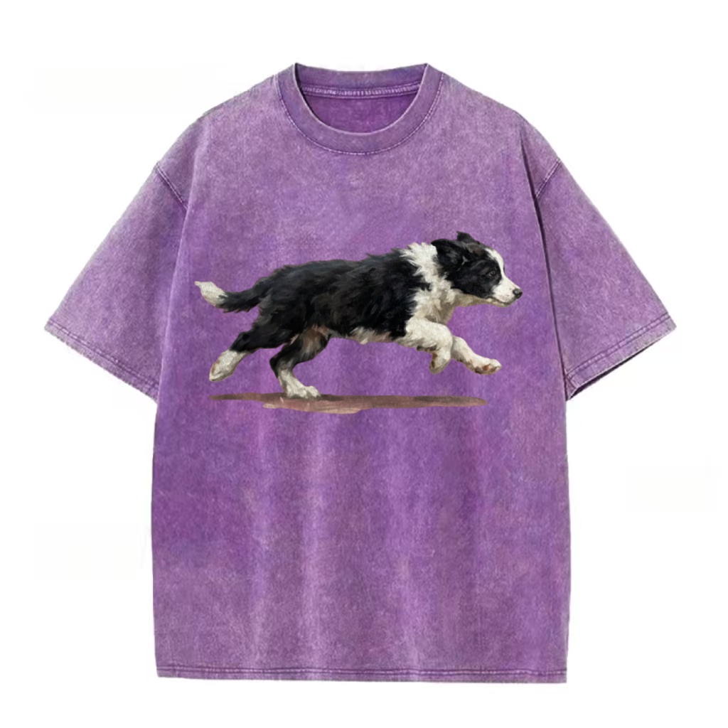 Border Collie Sprint Graphic Washed T-Shirt